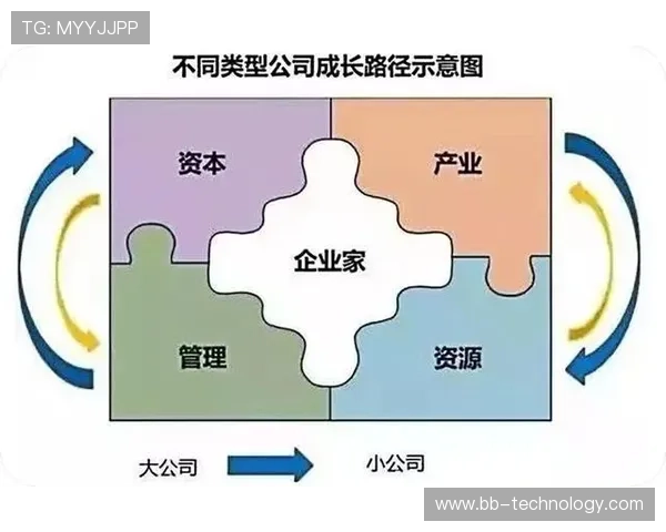 探索中国成功企业家成长路径与时代创新精神融合研究的深度解析篇
